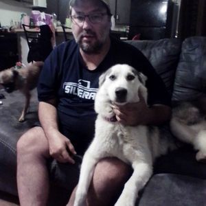 Meet your Posher, Bobby